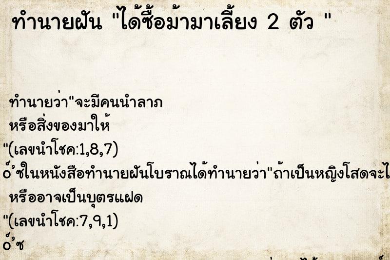 ทำนายฝัน ได้ซื้อม้ามาเลี้ยง 2 ตัว 